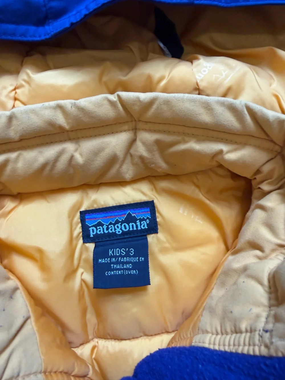Patagonia warm insulated